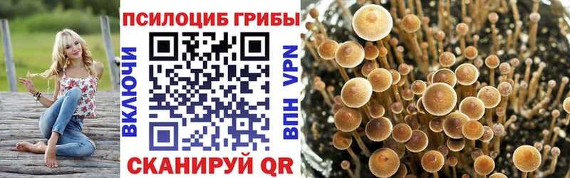 Галлюциногенные грибы Cubensis  Грязовец 