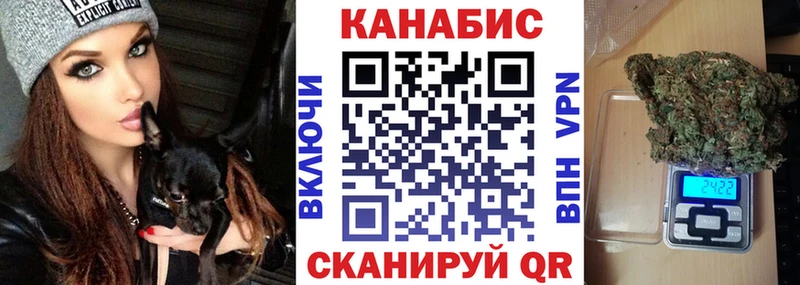 магазин продажи наркотиков  Грязовец  Шишки марихуана ГИДРОПОН 